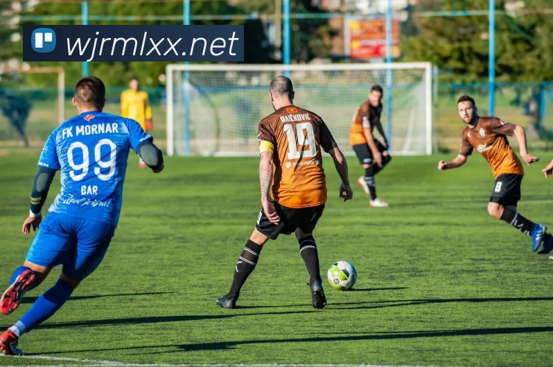 世界杯平台官网登录平台生态图